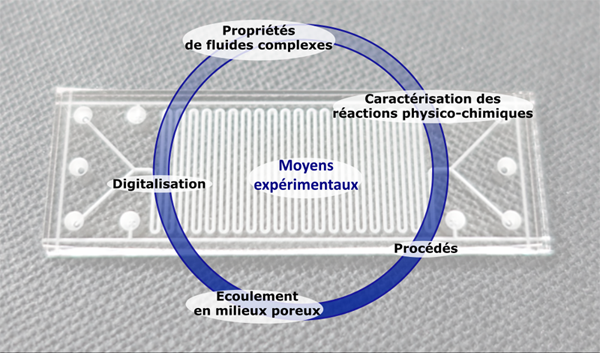 Microfabrication de puces